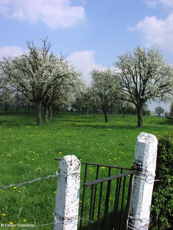 O Macra B&B - Aubel, Pays De Herve Buitenkant foto